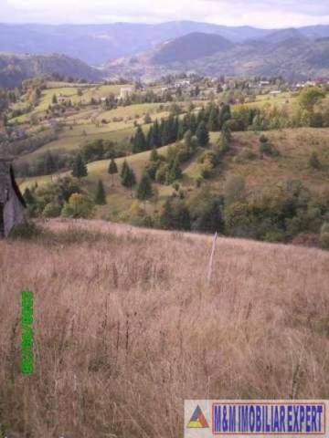 teren-5000-mp-intravilan-de-vanzare-in-valea-cheii-dambovicioara-arges-7