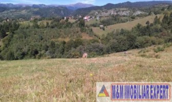 teren-5000-mp-intravilan-de-vanzare-in-valea-cheii-dambovicioara-arges-9