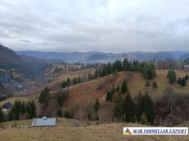 teren-5000-mp-intravilan-de-vanzare-in-valea-cheii-dambovicioara-arges-3