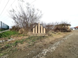 teren-intravilan-de-vanzare-alba-micesti