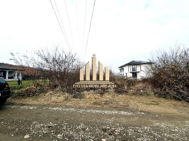 teren-intravilan-de-vanzare-alba-micesti-2
