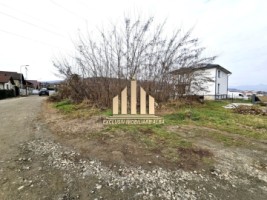 teren-intravilan-de-vanzare-alba-micesti-1