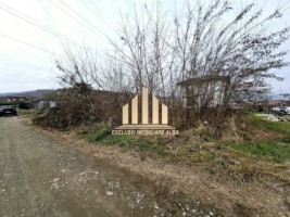 teren-intravilan-de-vanzare-alba-micesti-3