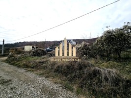 teren-intravilan-de-vanzare-micesti-1