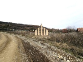teren-intravilan-de-vanzare-micesti-2