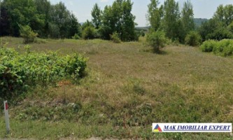 teren-5000-mp-extravilan-de-vanzare-in-valea-mare-pravat-arges-1