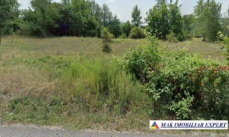 teren-5000-mp-extravilan-de-vanzare-in-valea-mare-pravat-arges-2