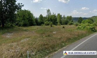 teren-5000-mp-extravilan-de-vanzare-in-valea-mare-pravat-arges-3