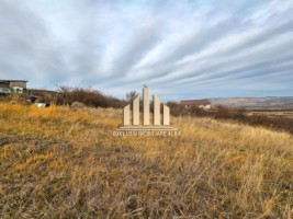 teren-intravilan-de-vanzare-micesti-2