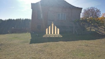 casa-de-vanzare-cu-4-hectare-teren-vintu-de-jos-5