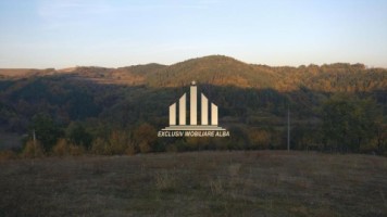 casa-de-vanzare-cu-4-hectare-teren-vintu-de-jos-8