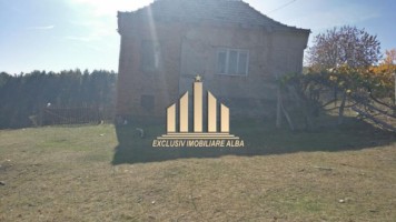 casa-de-vanzare-cu-4-hectare-teren-vintu-de-jos-13