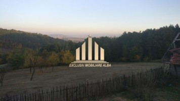 casa-de-vanzare-cu-4-hectare-teren-vintu-de-jos-15