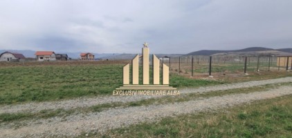 teren-intravilan-de-vanzare-orizont