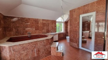 casa-vila-zona-titulescu-id-22744-3