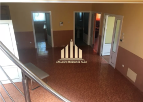 casa-de-vanzare-in-cetate-pozitie-foarte-buna-1