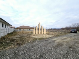 teren-intravilan-de-vanzare-alba-micesti