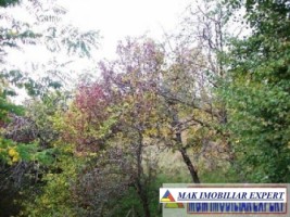 teren-intravilan-de-vanzare-1678-mp-in-apa-sarata-campulung-muscel-arges-3