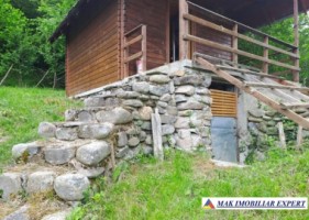 vand-cabana-2-camere-teren-182-mp-bradulet-arges-6