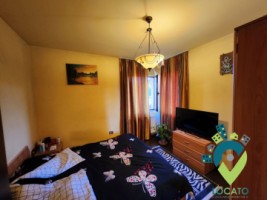 parter-vila-zona-centrala-9