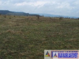 vand-teren-9000-mp-extravilan-pasune-rujanca-godeni-arges