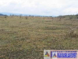 vand-teren-9000-mp-extravilan-pasune-rujanca-godeni-arges-1
