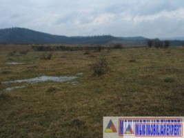vand-teren-9000-mp-extravilan-pasune-rujanca-godeni-arges-2
