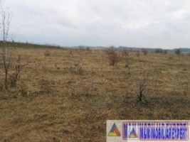 vand-teren-9000-mp-extravilan-pasune-rujanca-godeni-arges-3