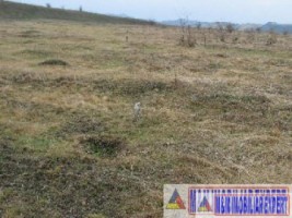 vand-teren-9000-mp-extravilan-pasune-rujanca-godeni-arges-4