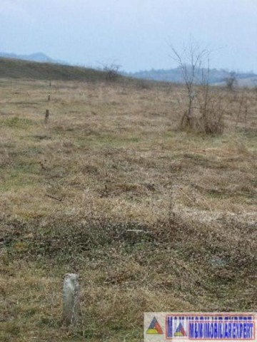 vand-teren-9000-mp-extravilan-pasune-rujanca-godeni-arges-5