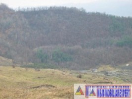 vand-teren-9000-mp-extravilan-pasune-rujanca-godeni-arges-9