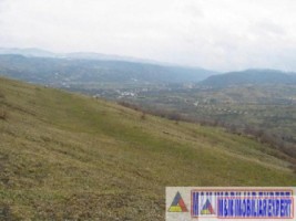 vand-teren-9000-mp-extravilan-pasune-rujanca-godeni-arges-10