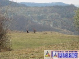 vand-teren-9000-mp-extravilan-pasune-rujanca-godeni-arges-6