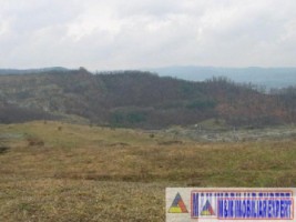 vand-teren-9000-mp-extravilan-pasune-rujanca-godeni-arges-7