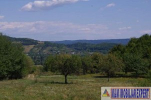 teren-2100-mp-extravilan-de-vanzare-in-balilesti-arges-ideal-pentru-constructii-rezidentiale