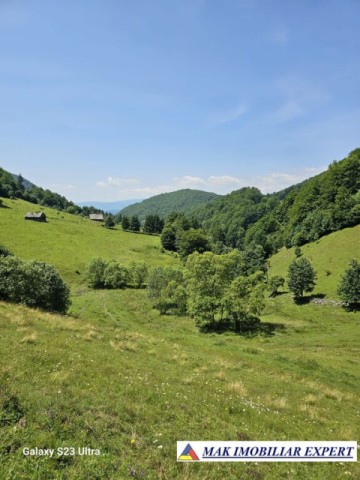 teren-14-ha-extravilan-de-vanzare-in-ciocanu-dambovicioara-arges-8