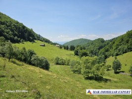 teren-14-ha-extravilan-de-vanzare-in-ciocanu-dambovicioara-arges-5