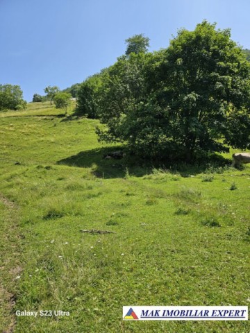 teren-14-ha-extravilan-de-vanzare-in-ciocanu-dambovicioara-arges-9