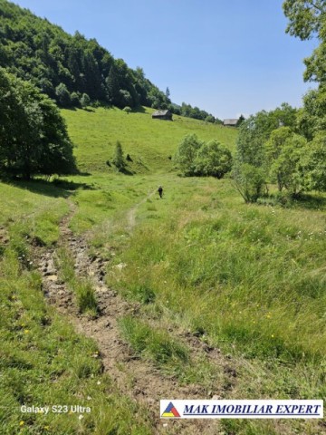 teren-14-ha-extravilan-de-vanzare-in-ciocanu-dambovicioara-arges-10