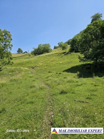 teren-14-ha-extravilan-de-vanzare-in-ciocanu-dambovicioara-arges-12