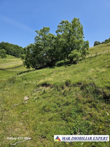 teren-14-ha-extravilan-de-vanzare-in-ciocanu-dambovicioara-arges-13