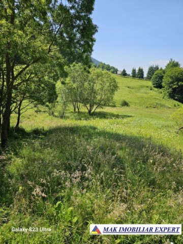 teren-14-ha-extravilan-de-vanzare-in-ciocanu-dambovicioara-arges-14