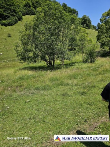 teren-14-ha-extravilan-de-vanzare-in-ciocanu-dambovicioara-arges-15