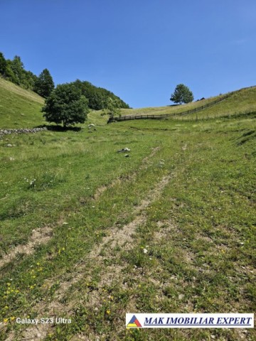 teren-14-ha-extravilan-de-vanzare-in-ciocanu-dambovicioara-arges-17