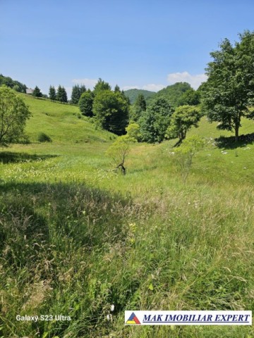 teren-14-ha-extravilan-de-vanzare-in-ciocanu-dambovicioara-arges-16