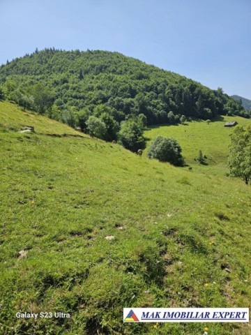 teren-14-ha-extravilan-de-vanzare-in-ciocanu-dambovicioara-arges-20