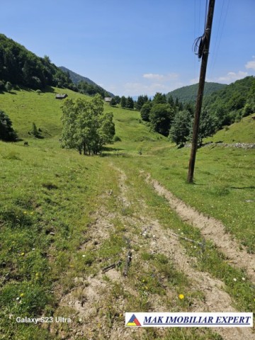 teren-14-ha-extravilan-de-vanzare-in-ciocanu-dambovicioara-arges-26