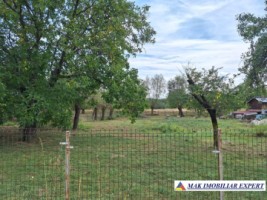teren-intravilan-de-5500-mp-de-vanzare-valea-mare-pravat-arges-3