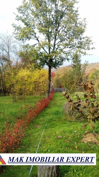 vand-vila-3-camere-teren-1800-mp-campulung-muscel-arges-56
