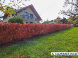 vand-vila-3-camere-teren-1800-mp-campulung-muscel-arges-54